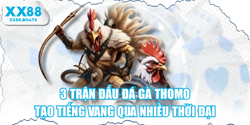 3 Trận Đấu Đá Gà Thomo Tạo Tiếng Vang Qua Nhiều Thời Đại