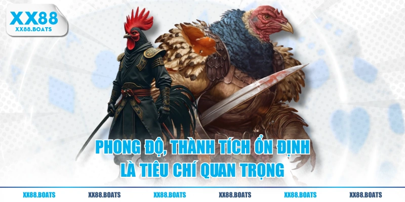 Phong độ, thành tích ổn định là tiêu chí quan trọng